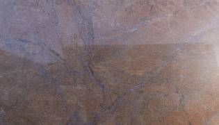 130A2196-2